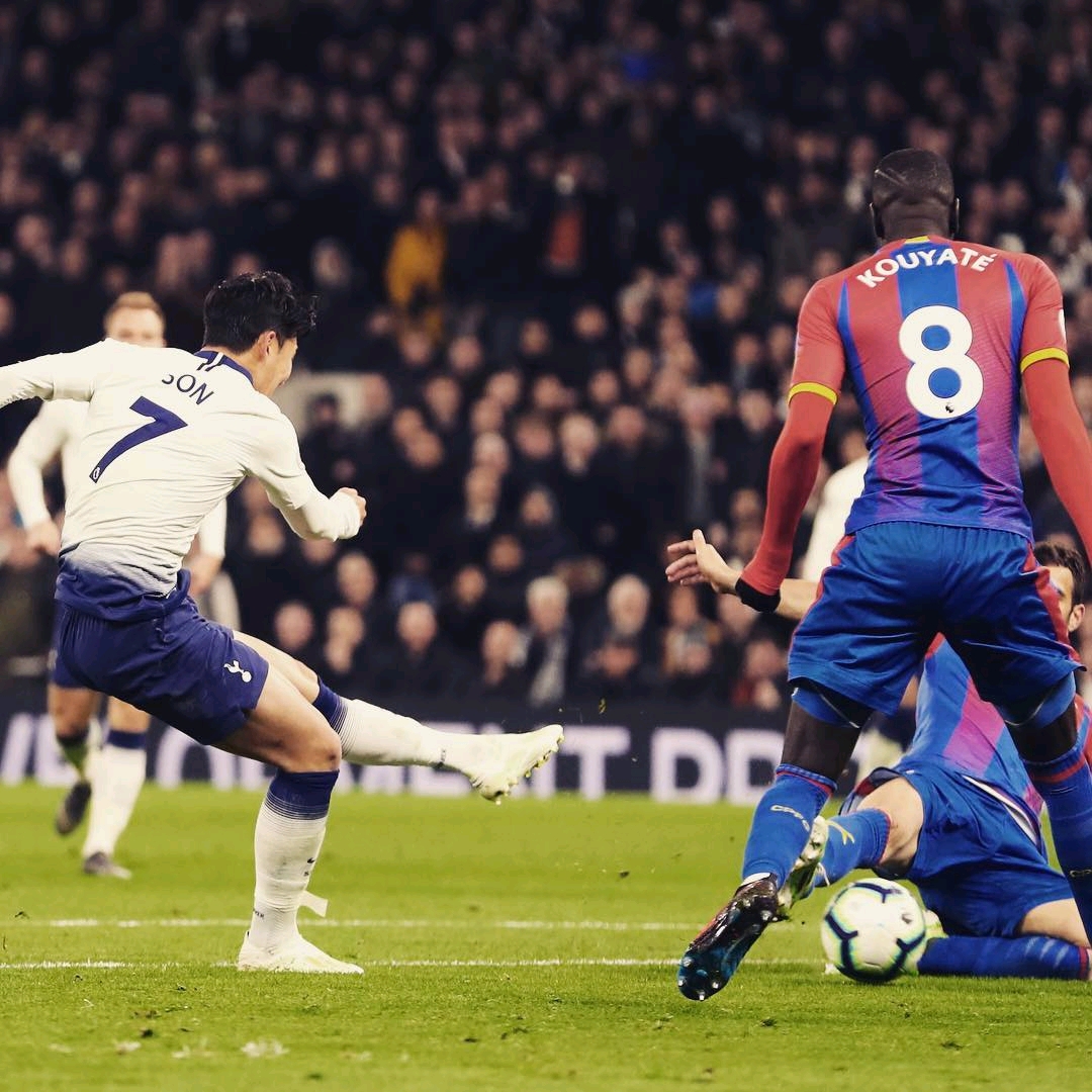 的不仅是体 的不仅是体